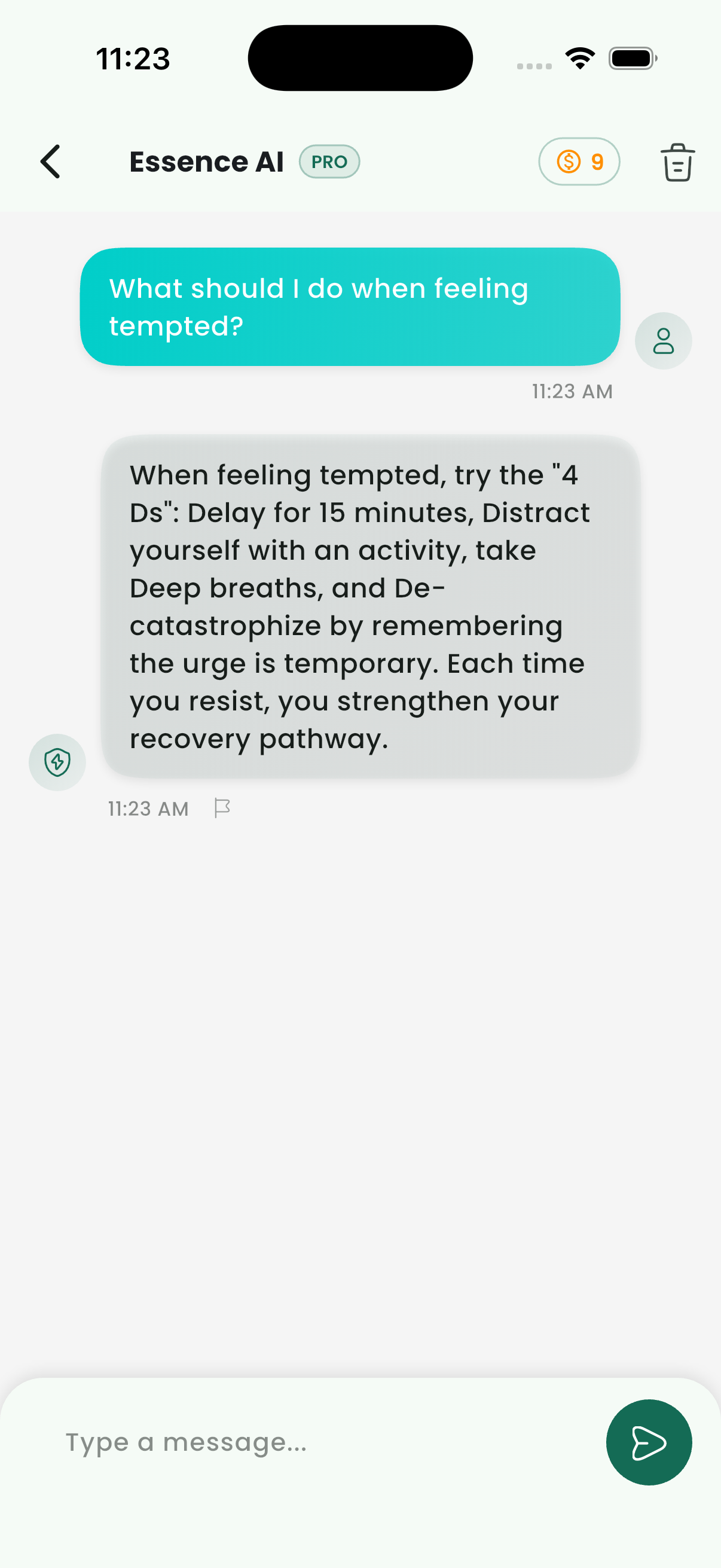 Essence AI Assistant