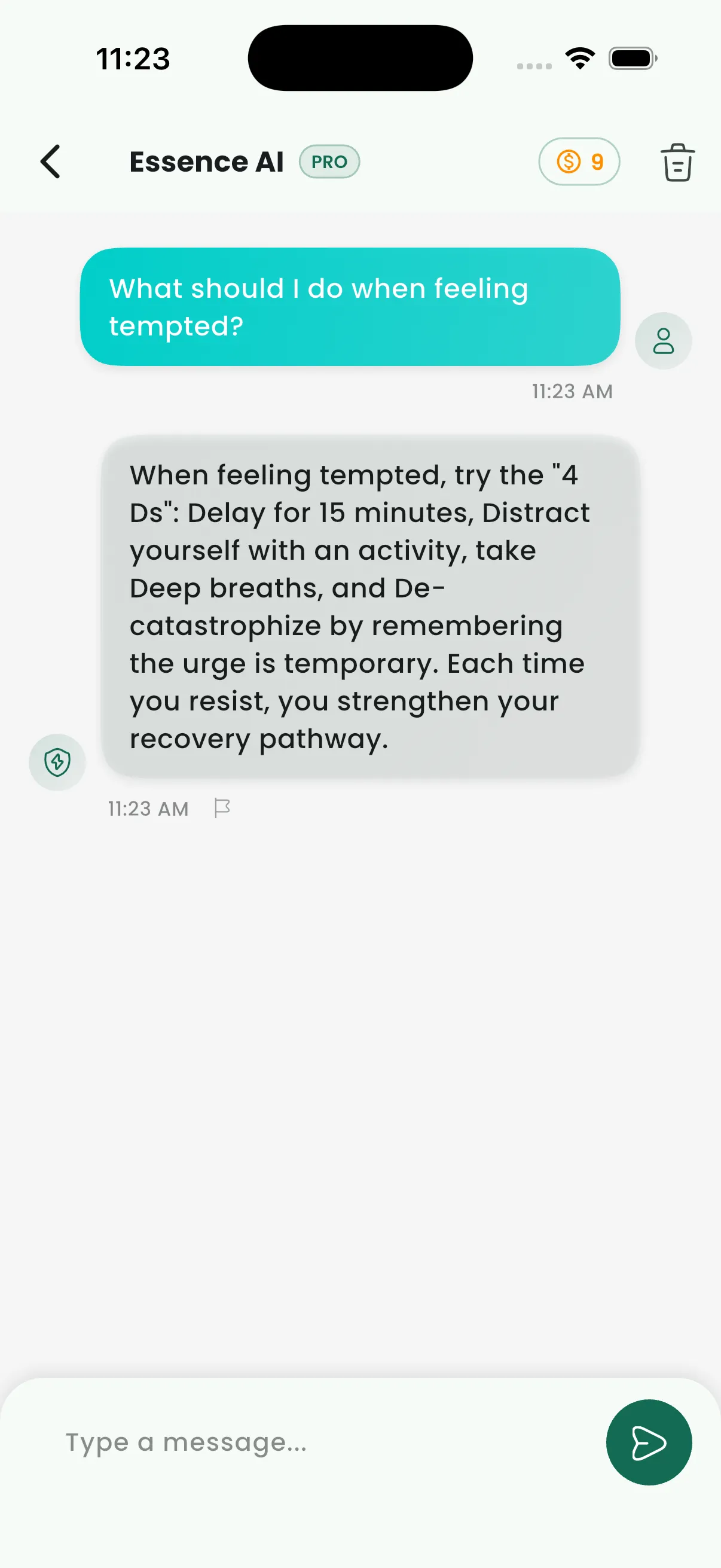 Essence AI Assistant